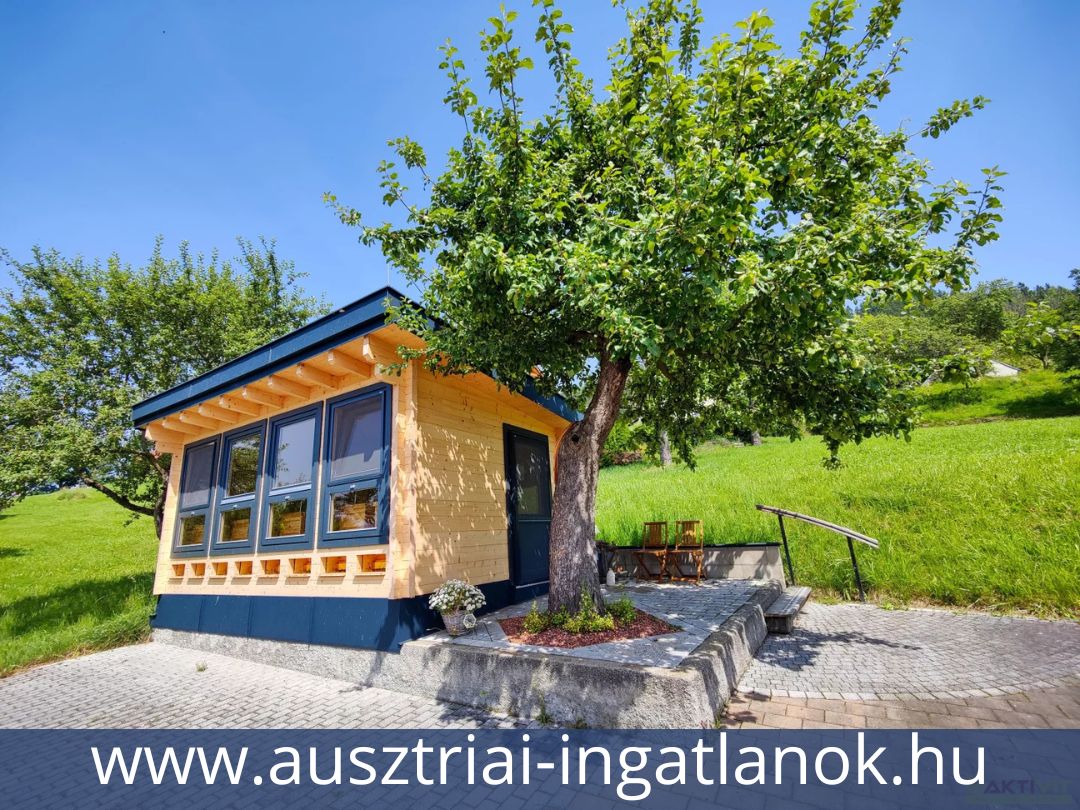 Ausztriai-ingatlanok-13690294-16.jpg