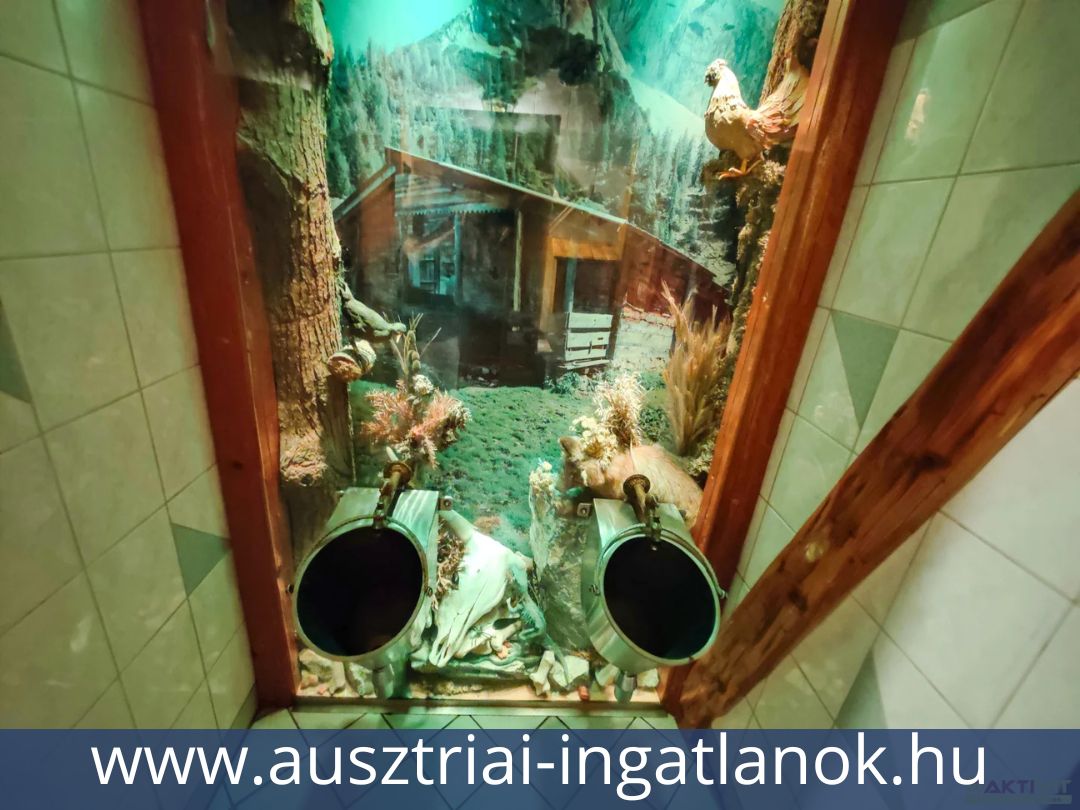 Ausztriai-ingatlanok-13690294-21.jpg