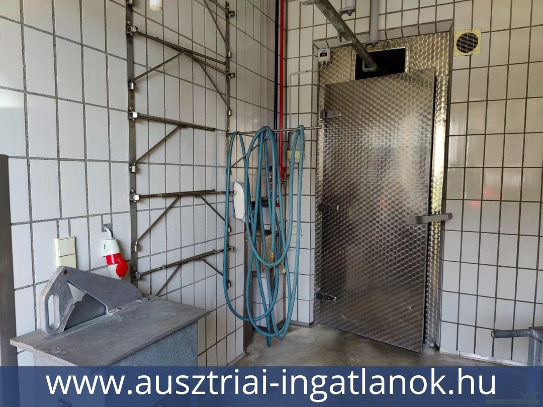Ausztriai-ingatlanok-13690294-28.jpg