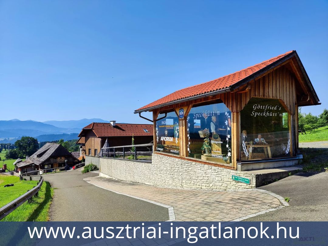Ausztriai-ingatlanok-13690294-34.jpg