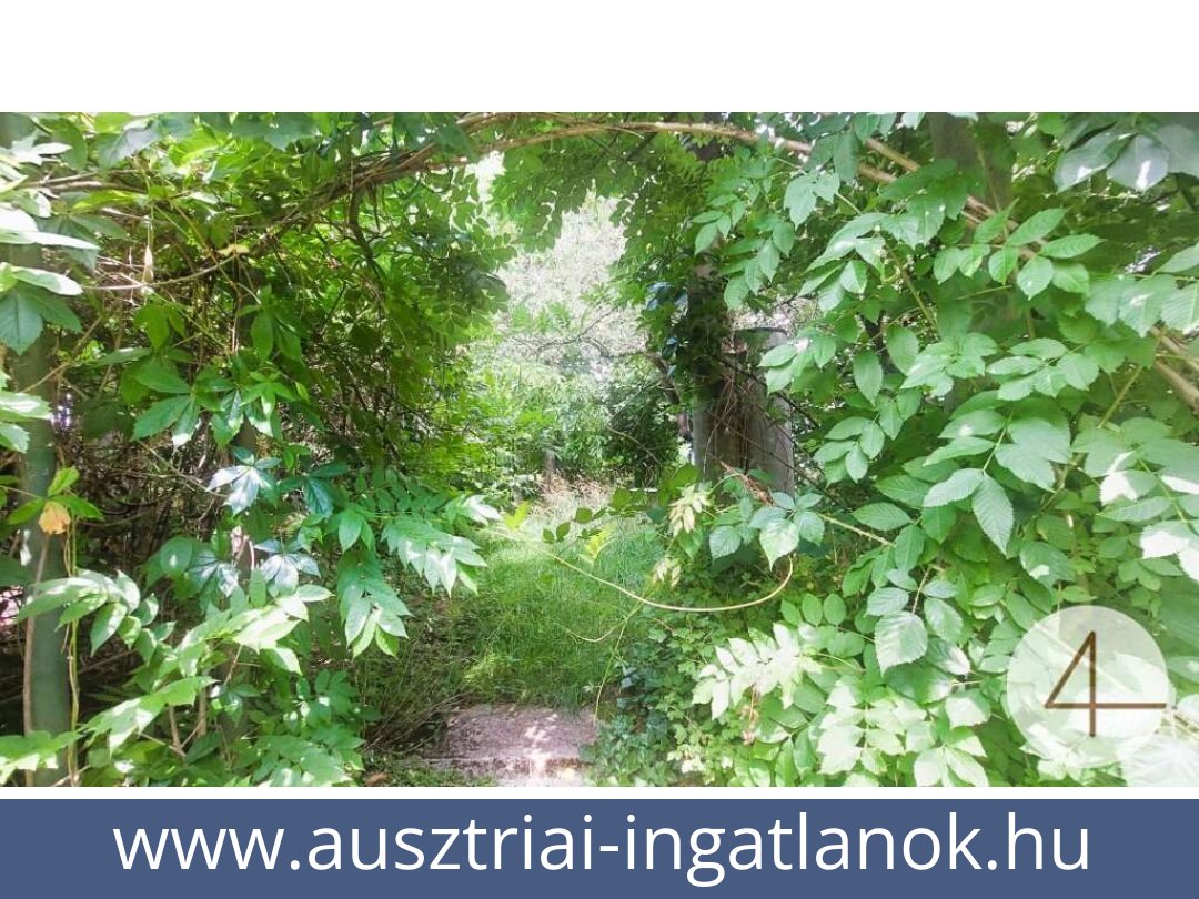 ausztriai-ingatlanok-heidenreichstein-3860-20250720225011-0021701008.jpg