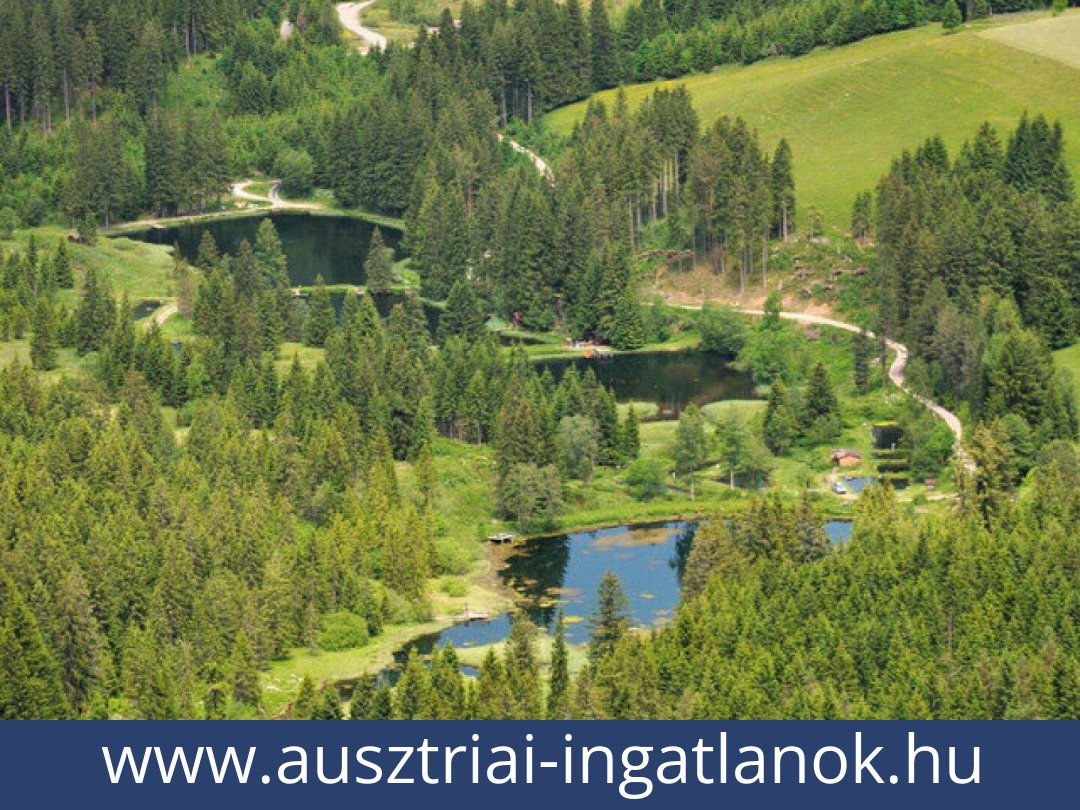 ausztriai-ingatlanok-hohentauern-8785-20260118005607-0057011011.jpg
