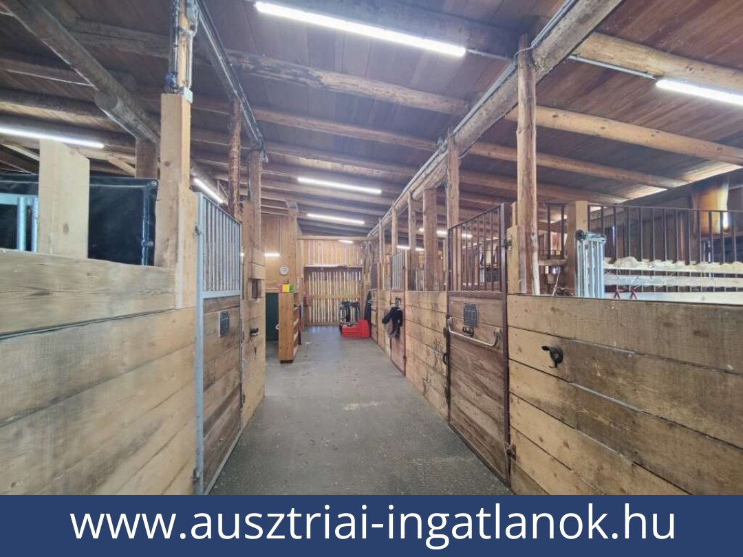 ausztriai-ingatlanok-lambach-8323-20260118010459-0057401017.jpg