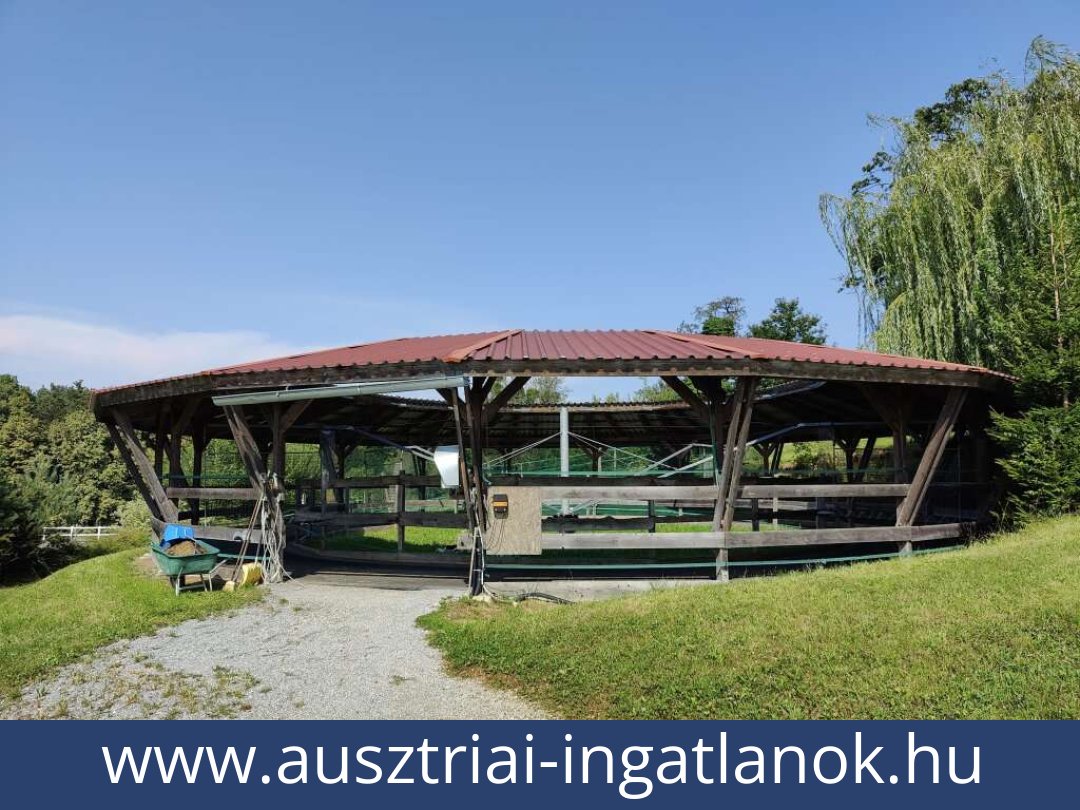 ausztriai-ingatlanok-lambach-8323-20260118010459-0057401018.jpg