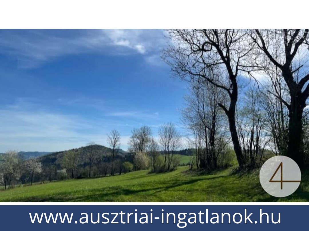 ausztriai-ingatlanok-perwarth-3263-20250804082435-0028201002.jpg