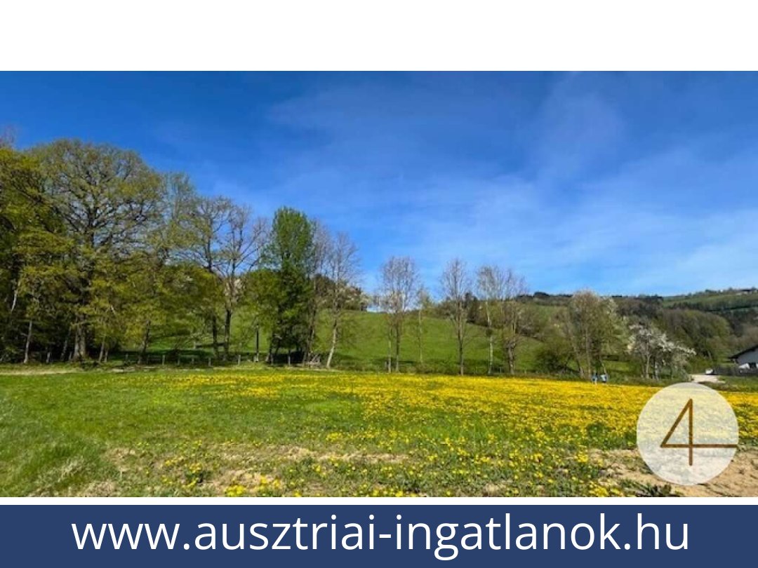ausztriai-ingatlanok-perwarth-3263-20250804082435-0028201004.jpg