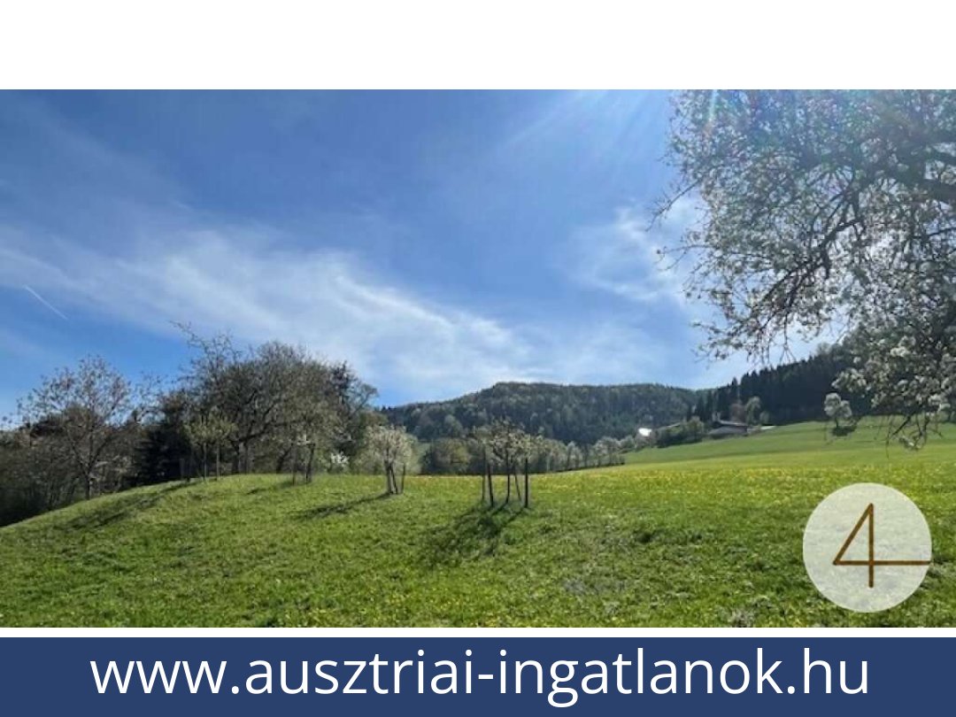 ausztriai-ingatlanok-perwarth-3263-20250804082435-0028201006.jpg