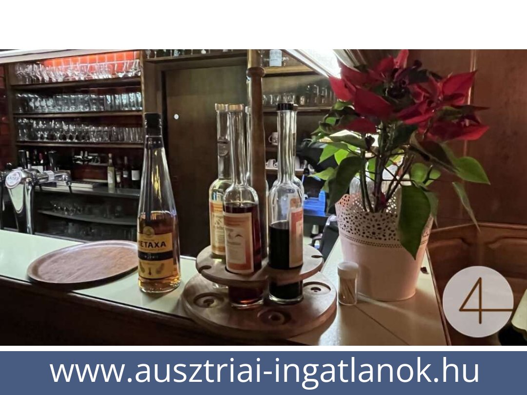ausztriai-ingatlanok-ybbsitz-3341-20250720224531-0021601007.jpg