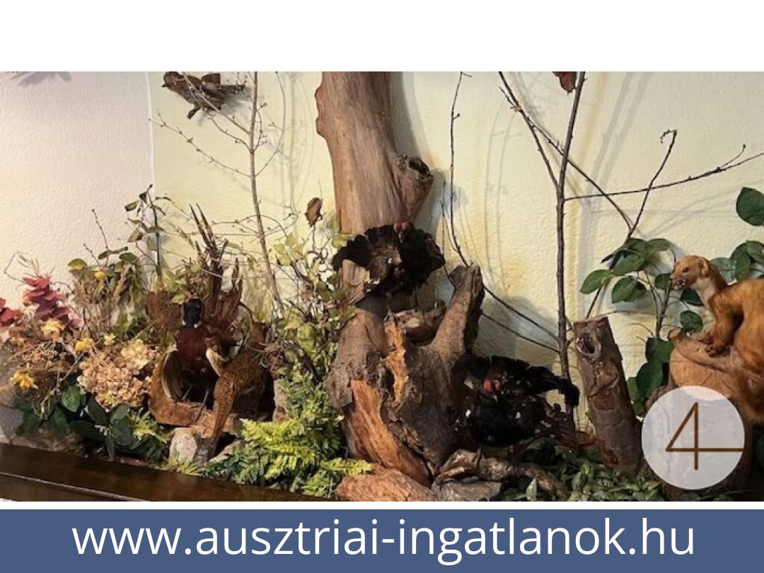 ausztriai-ingatlanok-ybbsitz-3341-20250720224531-0021601022.jpg